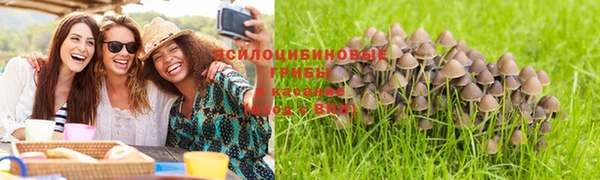 экстази Баксан