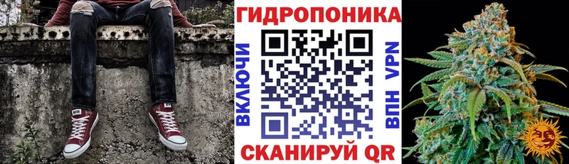 Канабис семена  закладка  Пересвет 